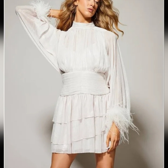 A Loves A Chiffon Feather Trim Ruched Mock Neck Long Sleeve Fit and Flare Dress - Picture 2 of 12